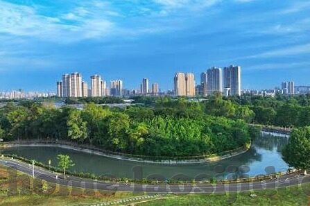 国内成人自拍视频-国内成人自拍视频,文化、社会与个人视角的深度探讨